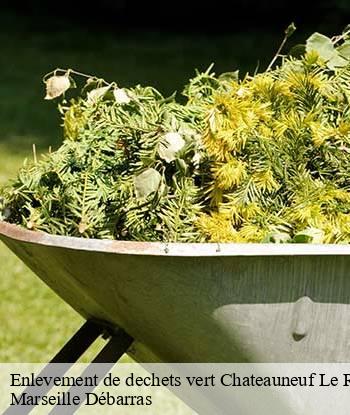 Enlevement de dechets vert  chateauneuf-le-rouge-13790 Marseille Débarras