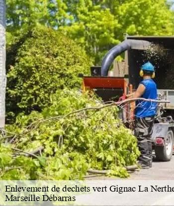 Enlevement de dechets vert  gignac-la-nerthe-13180 Marseille Débarras