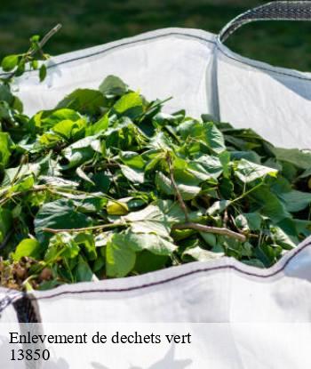 Enlevement de dechets vert  greasque-13850 Marseille Débarras