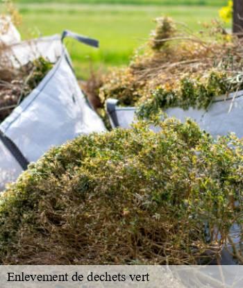 Enlevement de dechets vert  lancon-provence-13680 Marseille Débarras