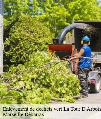 Enlevement de dechets vert  la-tour-d-arbois-13129 Marseille Débarras