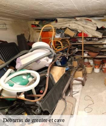 Débarras de grenier et cave  marseille-13000 Marseille Débarras
