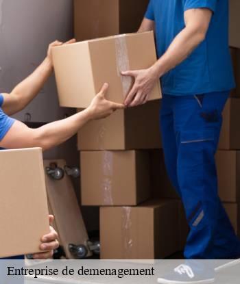 Entreprise de demenagement  cabries-13480 Marseille Débarras