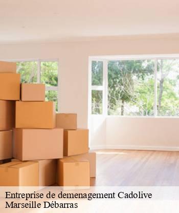 Entreprise de demenagement  cadolive-13950 Marseille Débarras