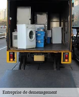 Entreprise de demenagement  les-freres-13120 Marseille Débarras