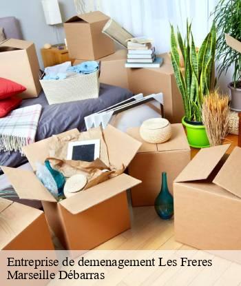 Entreprise de demenagement  les-freres-13120 Marseille Débarras